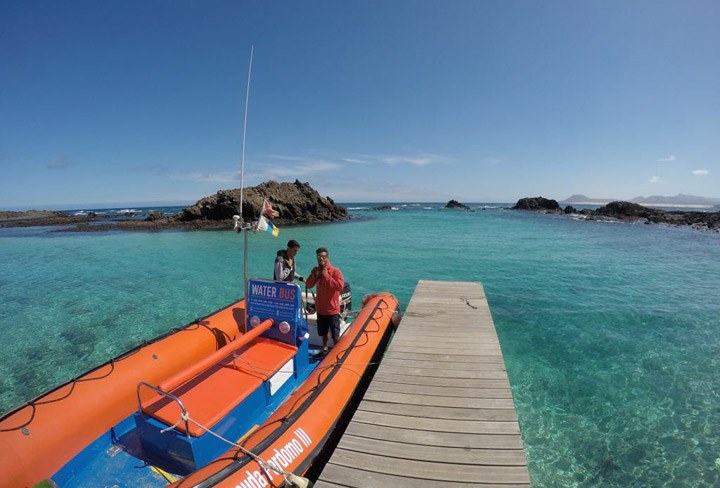 20170428_121242_barracuda_perdomo_isla_de_lobos_fuerteventura.jpg