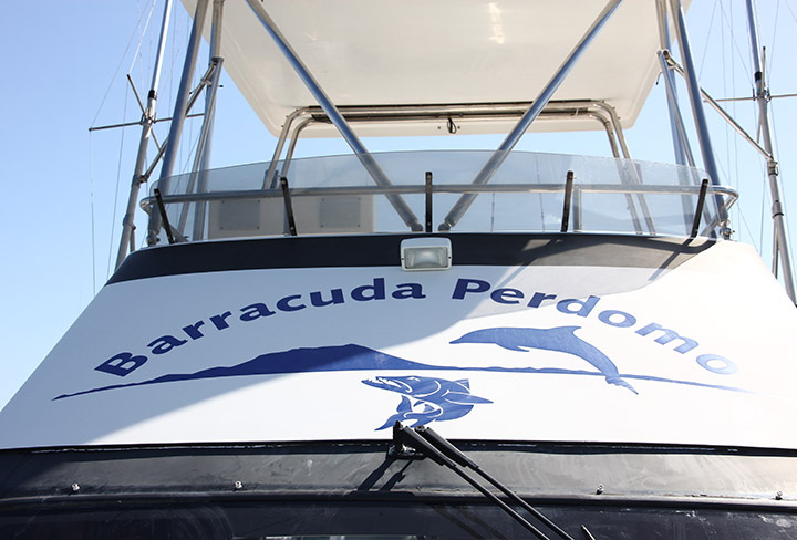 barco_barracuda_perdomo.jpg