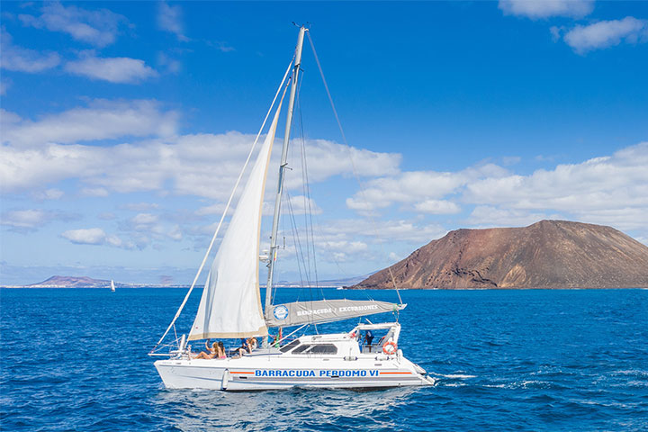 Catamarán Isla Lobos