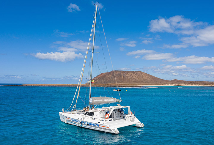 barracuda-perdomo-excursiones-fuerteventura.jpg