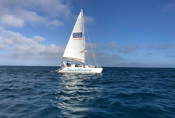 barracuda-perdomo-nuevo-catamaran-vi-2020-09-23-13-42-31.jpg