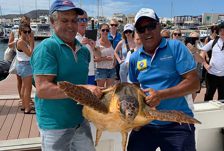 Barracuda Perdomo libera a una tortuga de 50 kg